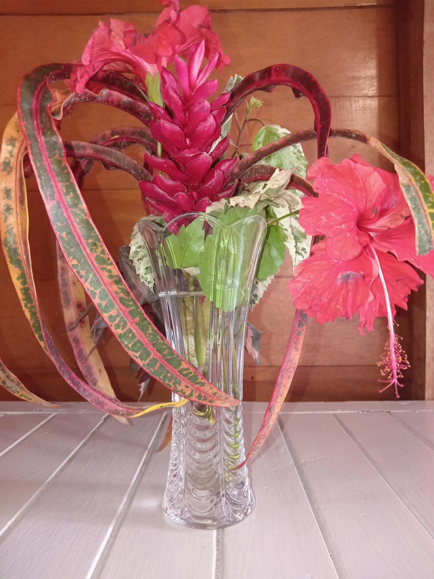 Villa Bahia Del Sol Bocas Town Luaran gambar
